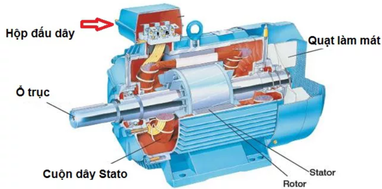 dong-co-khong-dong-bo-3-pha