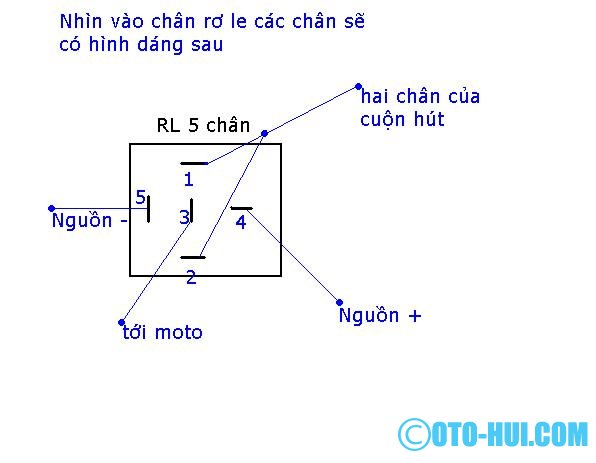 ro-le-trung-gian