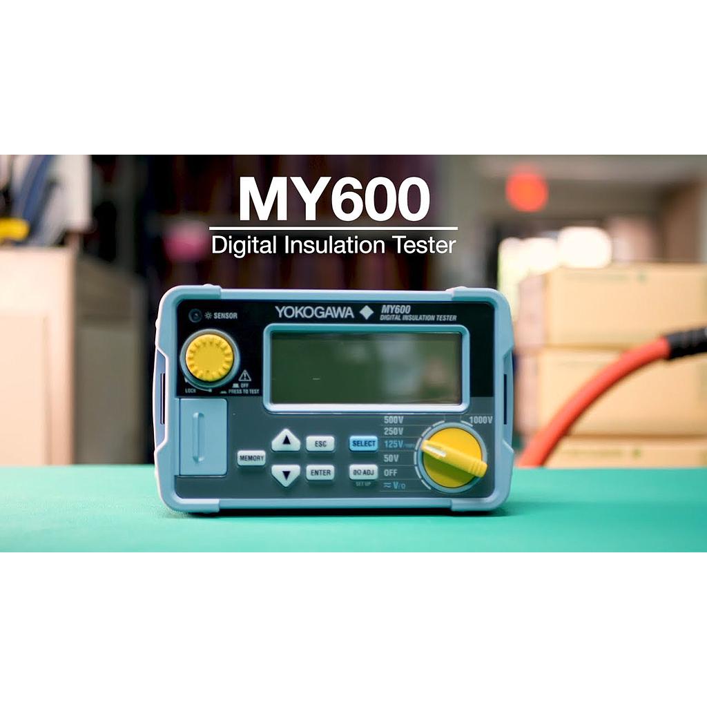 Máy đo điện trở cách điện kỹ thuật số Sanwa MY600
