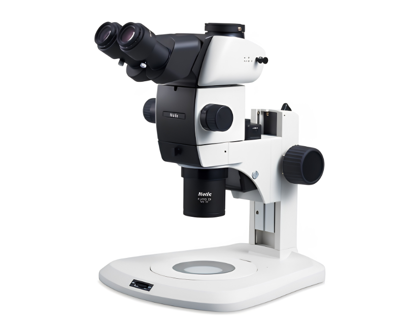 Kính hiển vi MOTIC SM Series (CMO Optics)