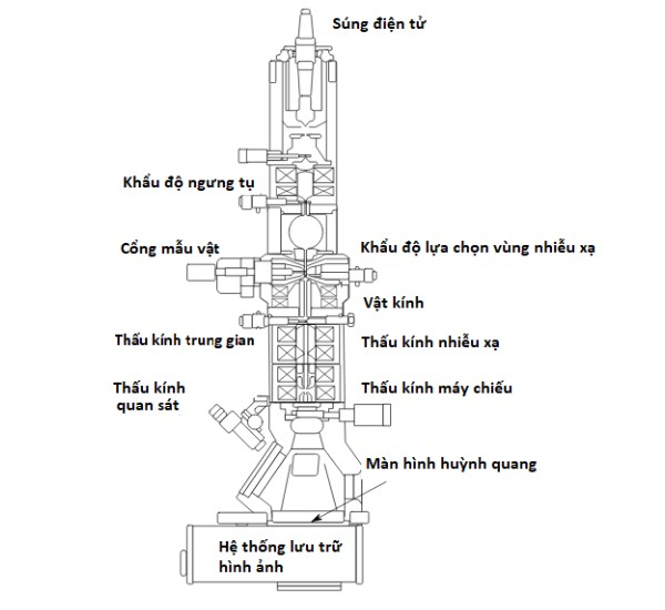 Cấu tạo chi tiết kính hiển vi điện tử truyền qua TEM